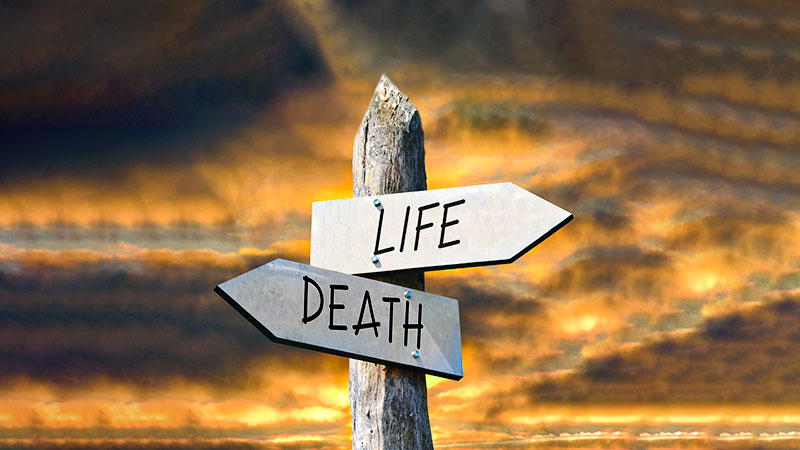 Life or Death Jesus Gospel by Chapel of Restoration qafas